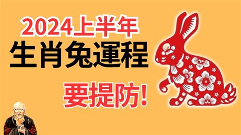 2024兔子|属兔2024年运势及运程详解 2024年属兔人的全年每月运势